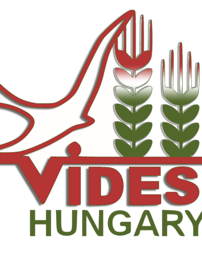 VIDES logo
