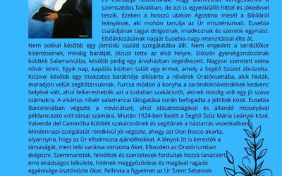 Boldog Palomino Eusebia