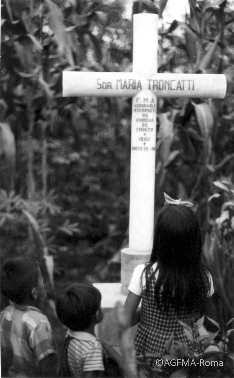 Képernyőkép 2024-05-16 173355