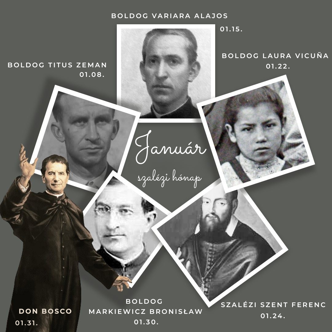 Képernyőkép 2024-05-16 173355