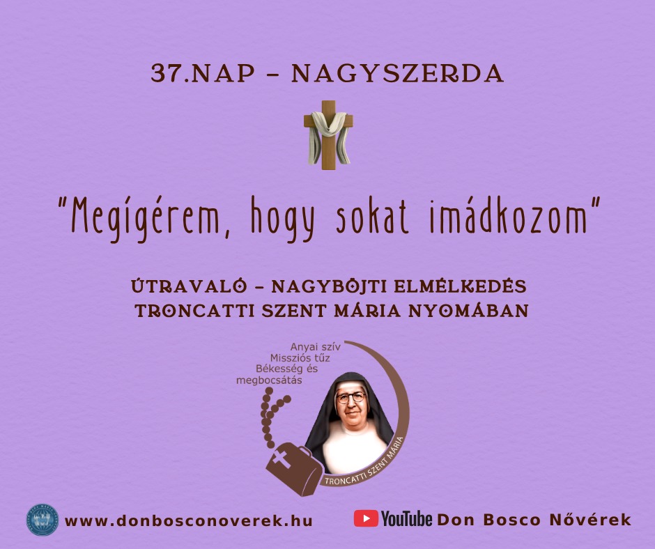 Képernyőkép 2024-05-16 173355