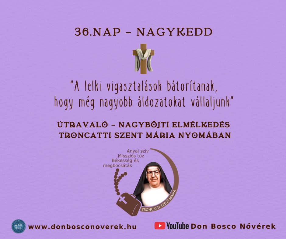 Képernyőkép 2024-05-16 173355