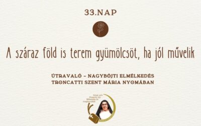 Útravaló 33.nap – A száraz föld is terem gyümölcsöt, ha jól művelik