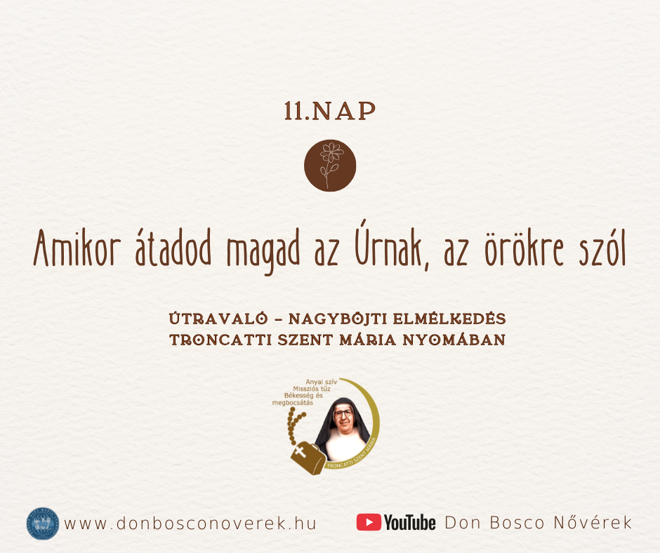 Képernyőkép 2024-05-16 173355